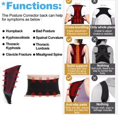 Adjustable Lower Back Brace Lumbar Support Waist Belt for Men Women Pain Relief