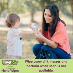 Boogie Antibacterial Hand Wipes 100pk, Aloe, Alcohol-Free, Hypoallergenic