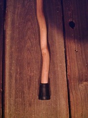 walking stick cane natural grown ROOT HANDLE for average size hands MADE IN USA
