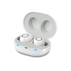 Digital Hearing Aids Noise Cancelling 16 Channel Severe Loss Sound Amplifier ITE