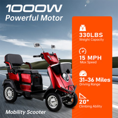 2 Seater Electric Scooter Mobility Scooter for Adult 1000W Anti-Theft Remote Key