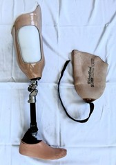 Truelife WillowWood Alpha Classic Prosthetic Right Leg w/Flex Knee 26R