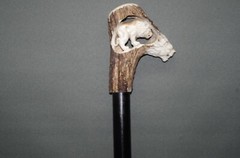 Classy Walking Stick Strolling Stick With Hirschhorn Handle Lion 31 1/2in
