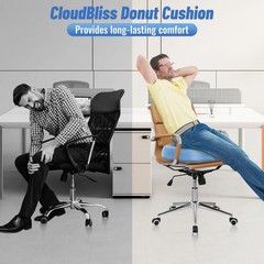 CloudBliss Donut Pillow Seat Cushion Chair Pad for Tailbone Pain Relief and