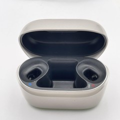 Phonak Charger RIC I Hearing Aid Charging Case USB-C Silver Lithuania Portable