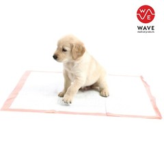 100 WAVE MEDICAL USA MADE PET PEE PADS 30×36 Ultra Absorbent Housetraining Pads