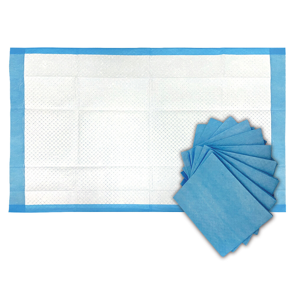 BodyMed Disposable Underpad, 23 in. x 36 in., 150/Case, Standard Absorbency