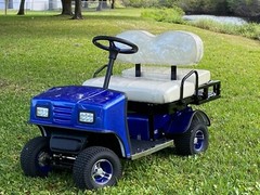 Cricket SX-3 Portable Mini Mobility Cart read description in full before you buy