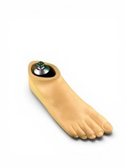 Ohio Willow Wood Sach prosthetic foot w/ titanium pyramid. Right. Size 27