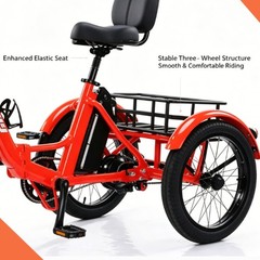 Daibot Adult Removable Battery Cargo Basket 350W Fold Mobility Trike 3 Wheel