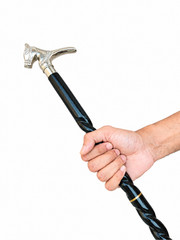 Decorative Horse Head Walking Cane Black Twisted Shaft Silver Handle Gentleman