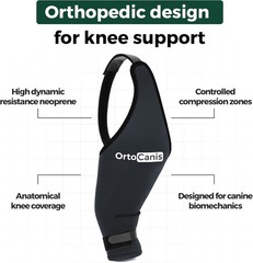 Orthopedic Dog Knee Brace for Hind Leg – Eases Discomfort & Enhances Mobility