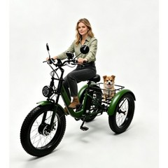 Folding 350W Adult Electric Tricycle, 3 Wheel E-Bike, Removable Battery, Basket