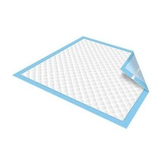 30″ x 36″ Disposable Underpads – FAST SHIPPING! – 100 COUNT – Secure Brand
