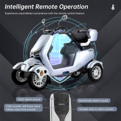 4 Wheels Electric Mobility Scooter 800W 60V20A Heavy Duty All Terrain for Senior