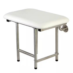 Adascape 22 In. X 16 In. Wallmounted Fold down Shower Seat in Brushed Stainless