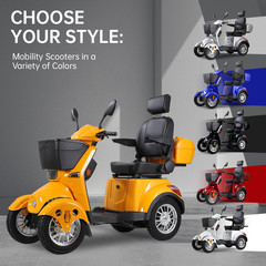 800W 4-Wheel Power Mobility Scooter Heavy Duty All-Terrain Electric Scooter