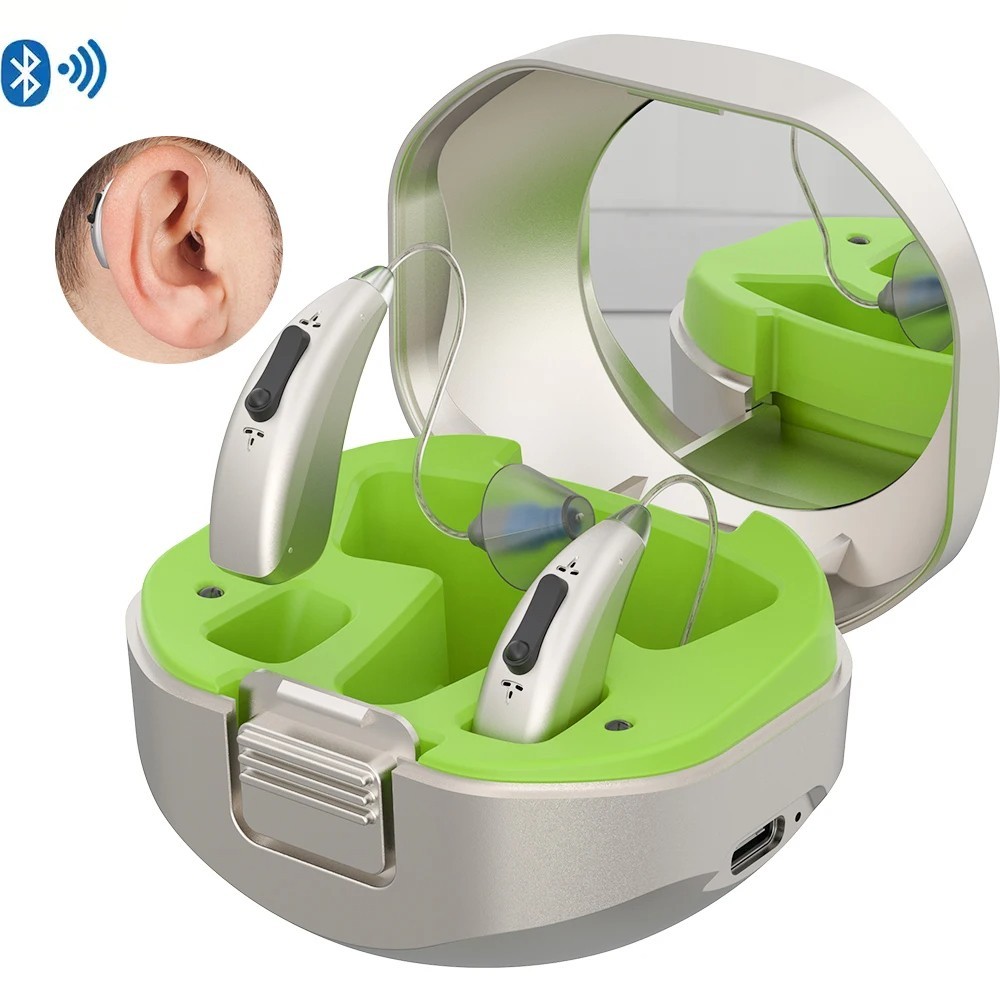 Bluetooth Connectivity, Comes with a Portable Charging Case, Hearing Aids