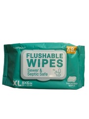LotFancy Flushable Wipes XL 8x6in 48 Count Pack