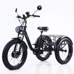 Daibot 24″ Fat Tire Mobility Trike 750W Adult All Terrain Shopping Cargo Vehicle