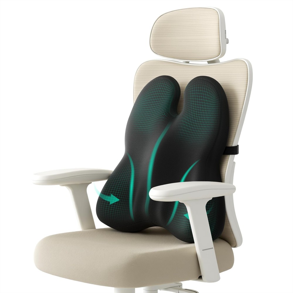 ZZ-WELL Lumbar Support Pillow for Office Chair – Memory Foam Large, Black