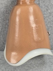 Prosthetic Right Leg Above Knee Foot 24 ST&G Mechanical Knee Bulldog Components
