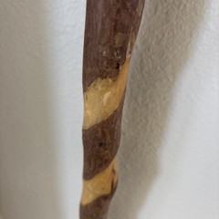 Brazos Walking Stick 37 Inch Height Made From Solid Sassafras Wood