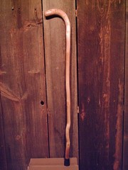 walking stick cane natural grown ROOT HANDLE for average size hands MADE IN USA