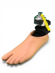 Ossur Pro-flex Proflex Xc Prosthetic Foot, left, Size 27, Category 4, new