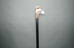 Classy Walking Stick Strolling Stick With Hirschhorn Handle Lion 31 1/2in