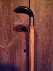 walking stick Buffalo Horn handle stainless steel collar maple shaft MADE IN USA