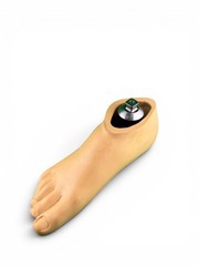 Ohio Willow Wood Sach prosthetic foot w/ titanium pyramid. Right. Size 27