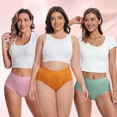 5 Pack High Absorbency Incontinence Underwear for Women Washable Leakproof Panti