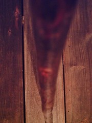 walking stick natural grown ROOT KNOB HANDLE for AVERAGE sized hands MADE IN USA