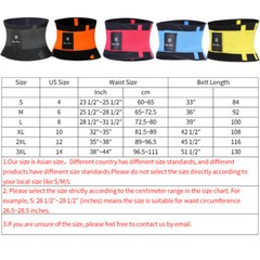 Back Support Lower Back Brace Pain Relief Lumbar Support Belt for Men and Womens