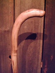 walking stick cane natural grown ROOT HANDLE for average size hands MADE IN USA