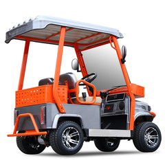 ZVG 2-Seater Electric Golf Cart with 800lb Capacity 60V 1800W 24mph 35 Miles