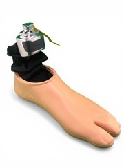 Ossur Pro-flex Proflex Xc Prosthetic Foot, left, Size 27, Category 4, new