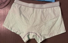 Four Men’s Carer Washable Absorbent Underwear L Light Green