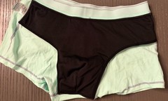 Four Men’s Carer Washable Absorbent Underwear L Light Green