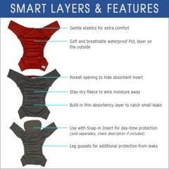 ECOABLE Reusable Pull-on Cloth Diaper 2.0 for Special Needs Adults Incontinence