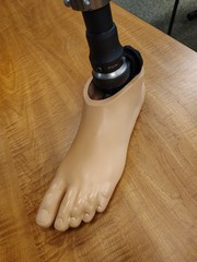 Trulife Prosthetic Limb Leg W/ Sz 28 Left Foot AAA210 AAA200 3151B Ti 231436AL