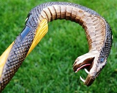 COBRA Hand Carvin Canes Walking Sticks Wooden Unique Handmade Cane Vintage Gift