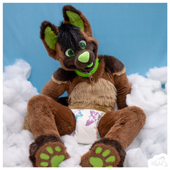 ABUniverse TinyTails Diapers (Pack of 10 or Case of 40) ABDL