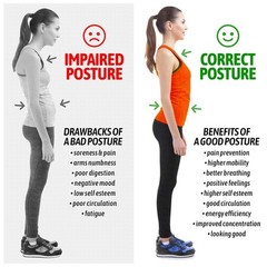 Posture Corrector for Men and Women, Regular (Chest Size 32-43 Inches)