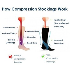 6 Pairs Womens Microfiber Blend Mild COMPRESSION 8-15 mmHg Mid/Over Calf Socks