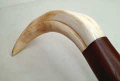 Vintage Boar Tusk Cane / Walking Stick