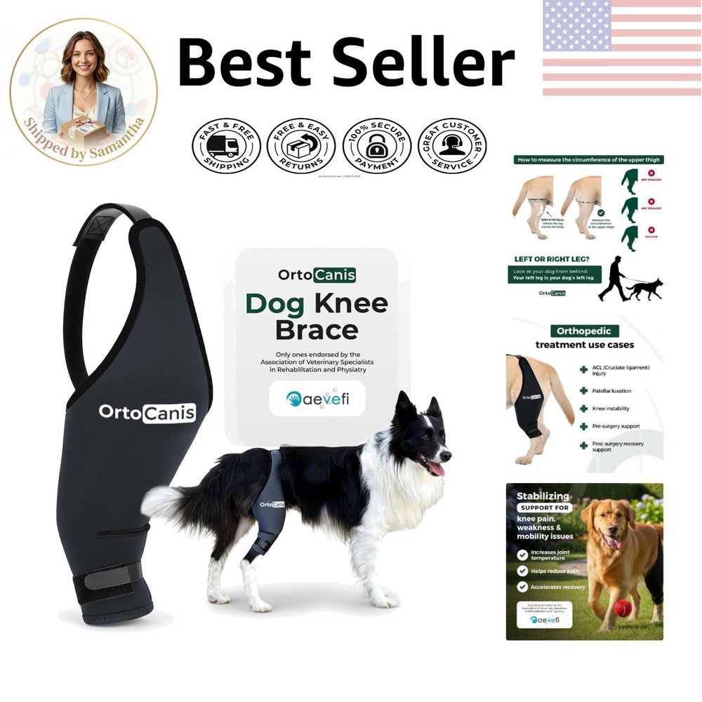 Lightweight Mini Dog Knee Brace for Right Leg – Supports ACL Recovery & Mobility
