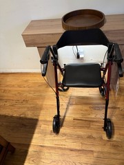 Red VOCIC Walkers for Seniors, Z21 Rollator Walker with Seat Supports 330lb, 8″