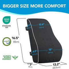Lumbar Support Pillow for Office Chair, Office Home Essentials,Gifts for Mom,Dad